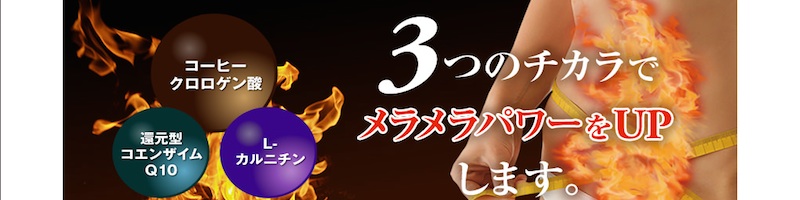 GNTTCYR[q[TCg